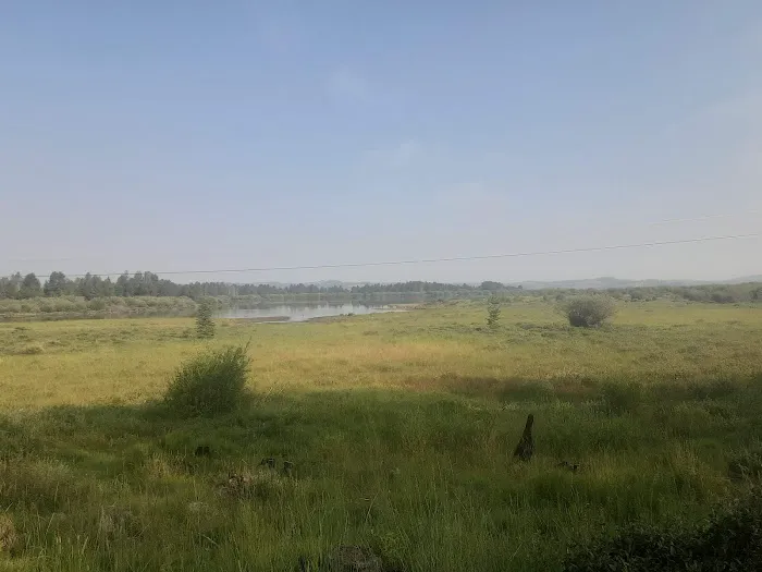 Stuart Mill Bay Campground Picture 9