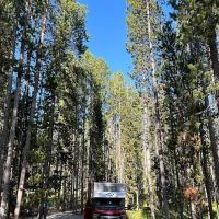 Spring Hill Campground ico