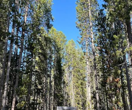 Spring Hill Campground