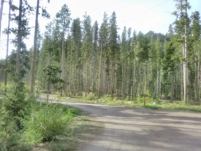 Spring Hill Campground Picture 10