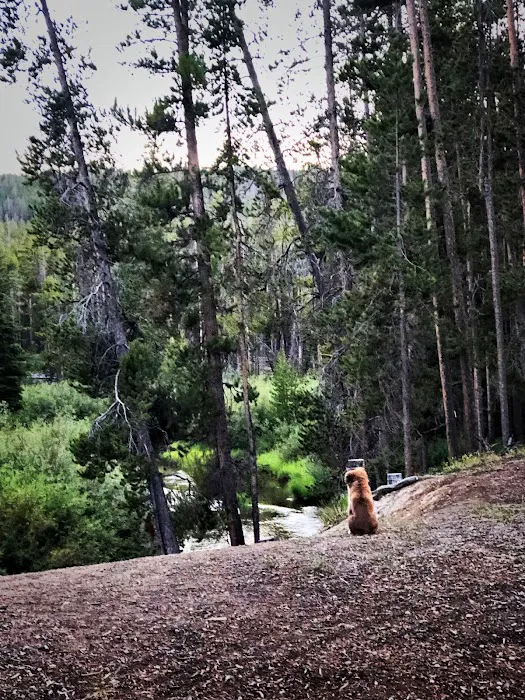 Mussigbrod Campground Picture 1