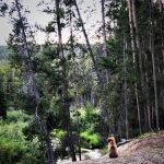 Mussigbrod Campground