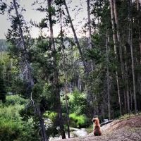 Mussigbrod Campground ico