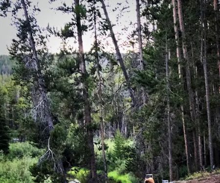 Mussigbrod Campground