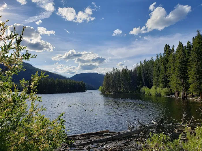 Mussigbrod Campground Picture 5