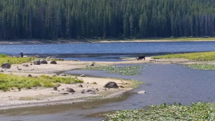 Mussigbrod Campground Picture 3