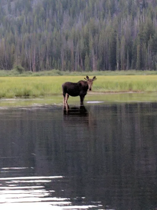 Mussigbrod Campground Picture 4