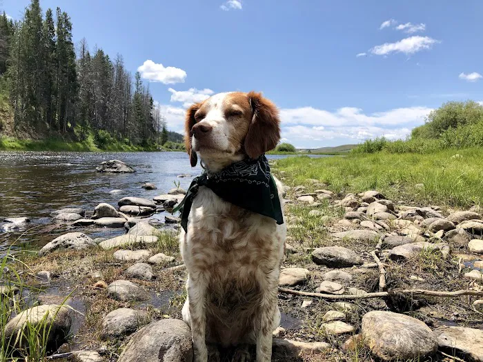 Fishtrap Campground Picture 9