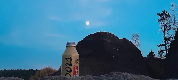 Racetrack Campground and Picnic Area Picture 1