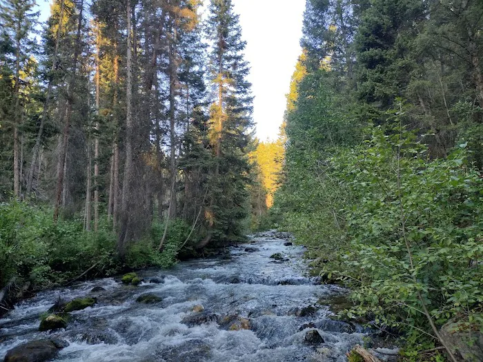 Racetrack Campground and Picnic Area Picture 4