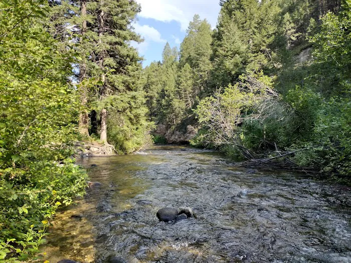 Racetrack Campground and Picnic Area Picture 5