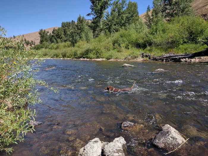 Moosehead Lake Campground Picture 1