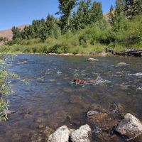 Moosehead Lake Campground ico