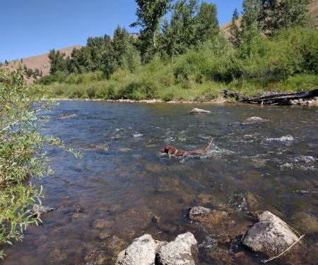 Moosehead Lake Campground