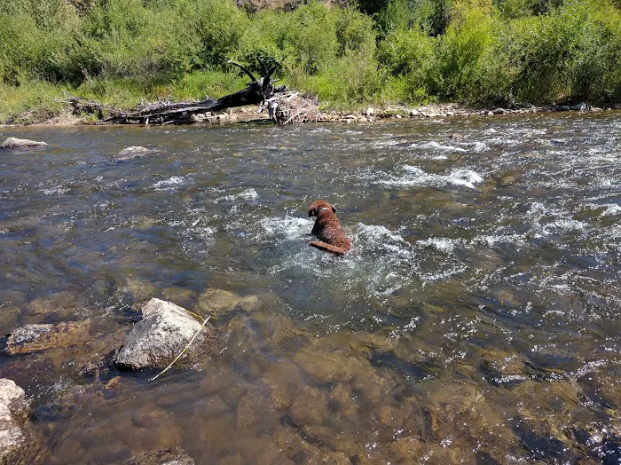 Moosehead Lake Campground Picture 6