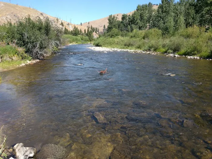 Moosehead Lake Campground Picture 4