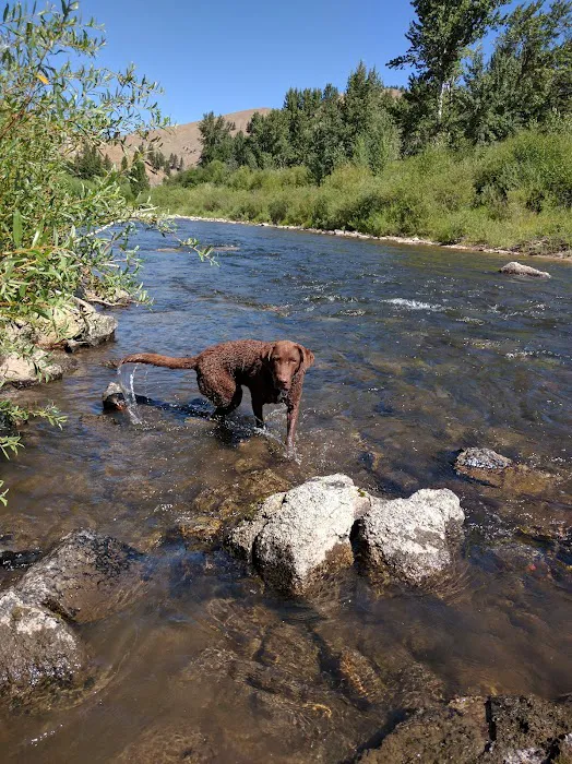Moosehead Lake Campground Picture 3