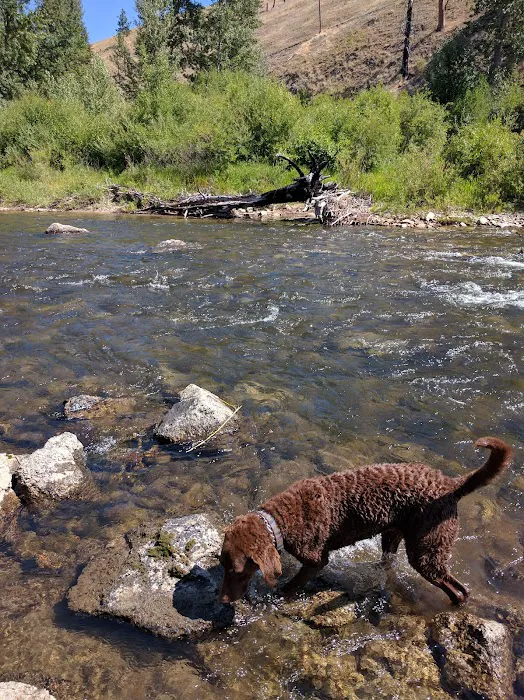 Moosehead Lake Campground Picture 5