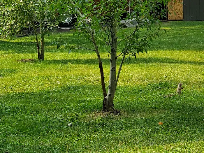 Spring Gulch Campground Picture 4