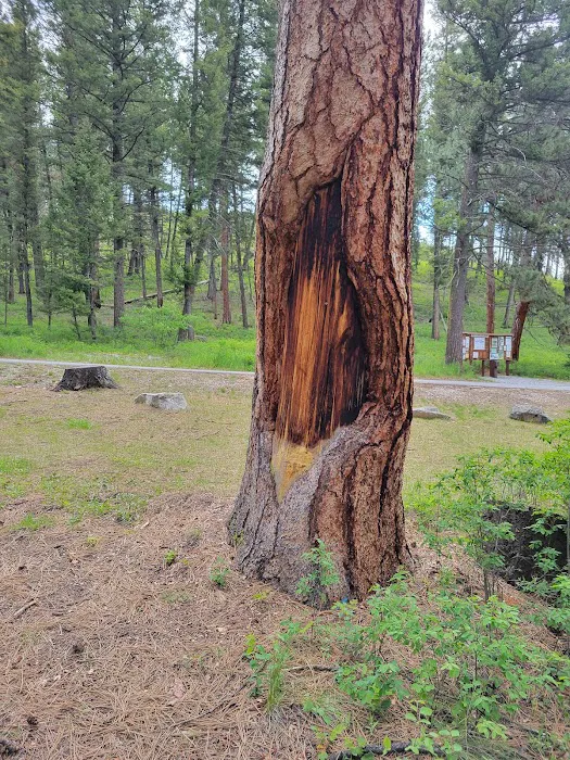 Indian Trees Campground Picture 6