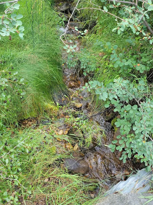 Indian Trees Campground Picture 10