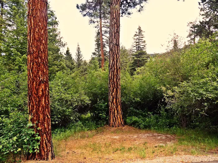 Indian Trees Campground Picture 4