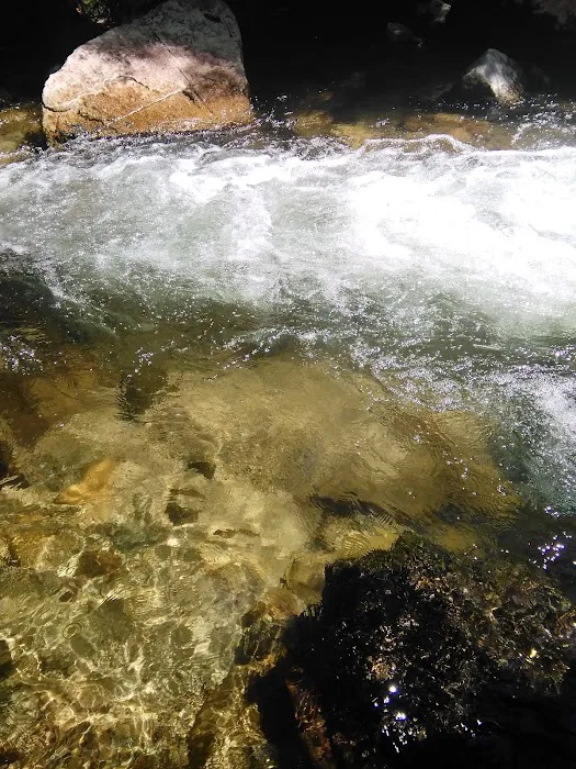 Crazy Creek Campground Picture 6