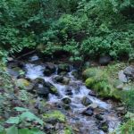 Crazy Creek Campground