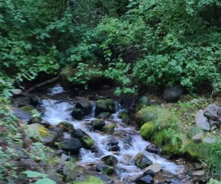 Crazy Creek Campground