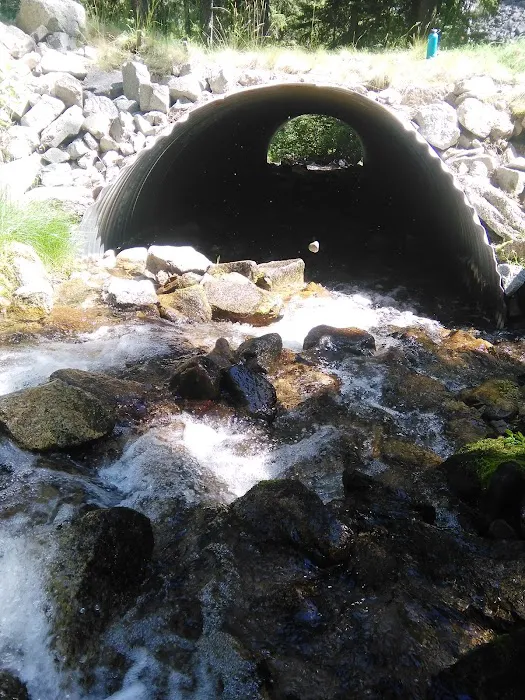 Crazy Creek Campground Picture 5