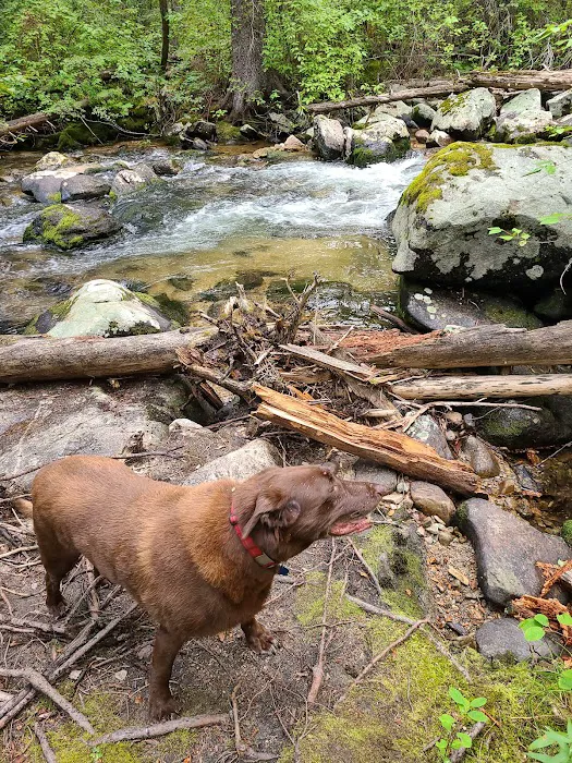 Crazy Creek Campground Picture 9