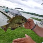 Lozier Mobile Park Inc