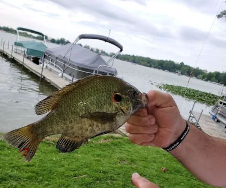 Lozier Mobile Park Inc