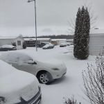 Green Acres Mobile Home Court