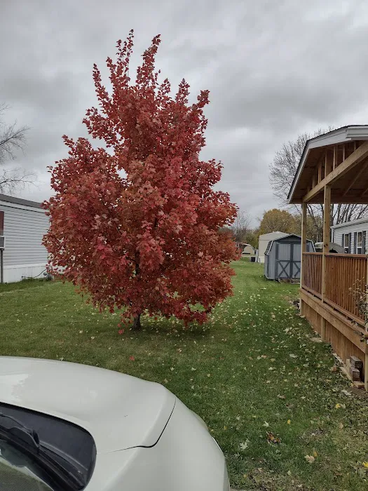 Green Acres Mobile Home Court Picture 2