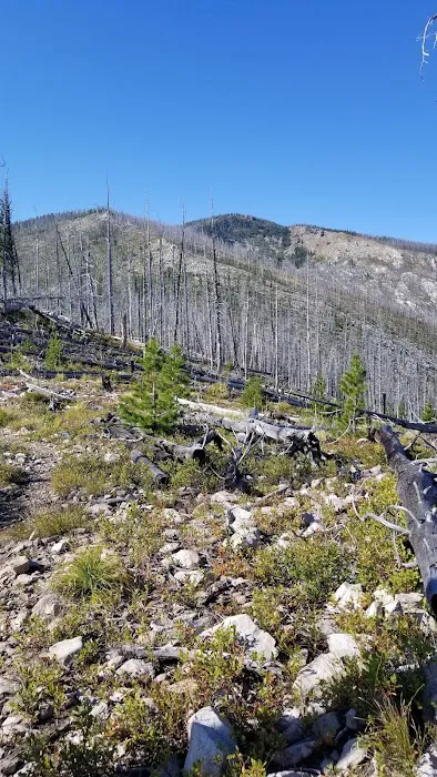 Medicine Point Lookout Picture 5