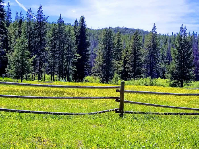 May Creek Campground Picture 3