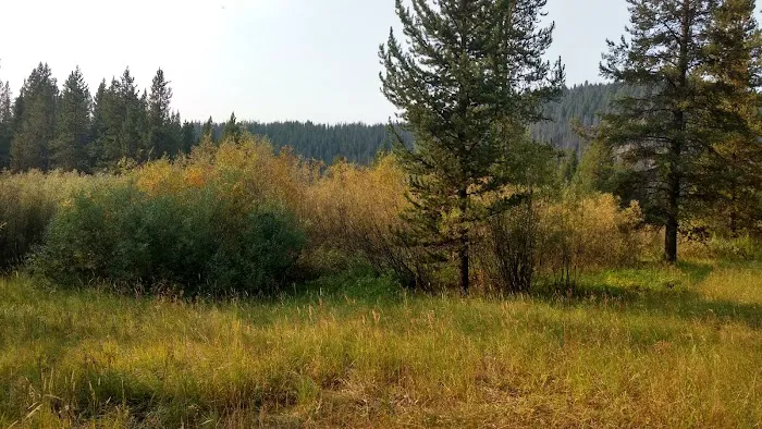 May Creek Campground Picture 8