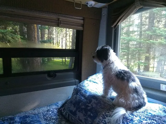 May Creek Campground Picture 6