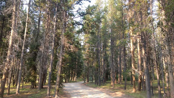 May Creek Campground Picture 7