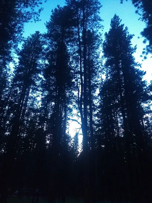 May Creek Campground Picture 9