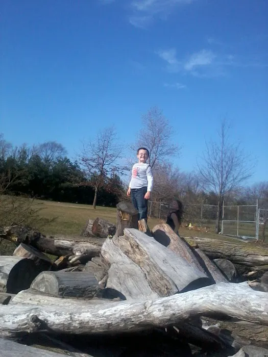 Whispering Pines Trailer Park Picture 5