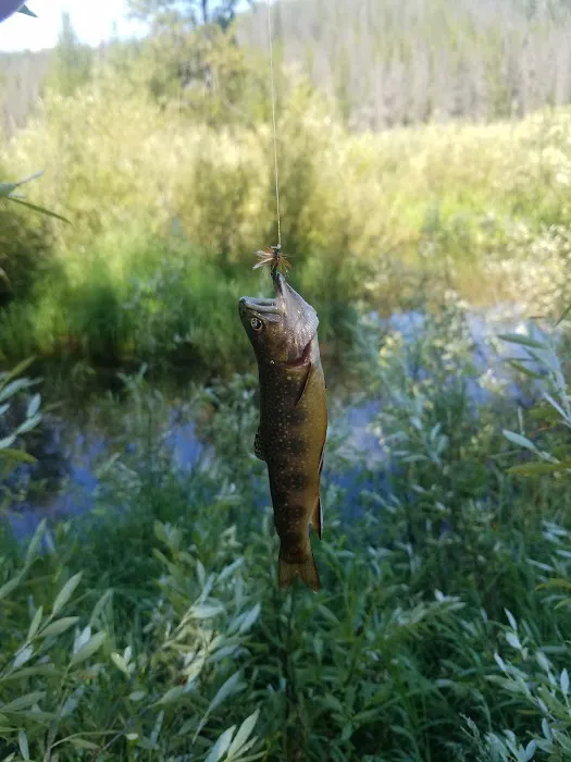 May Creek Cabin Picture 4