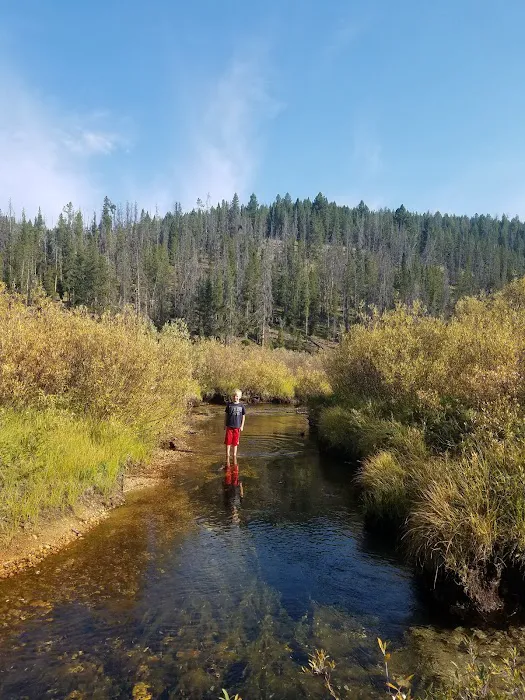 May Creek Cabin Picture 10