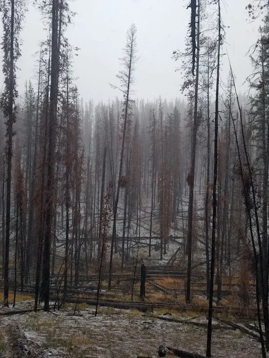 May Creek Cabin Picture 6