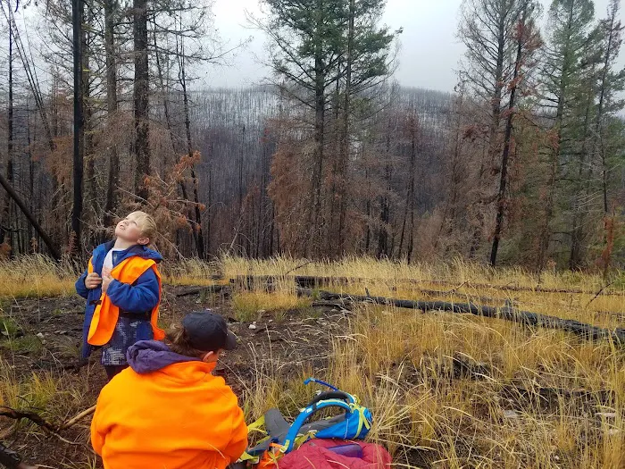 May Creek Cabin Picture 7