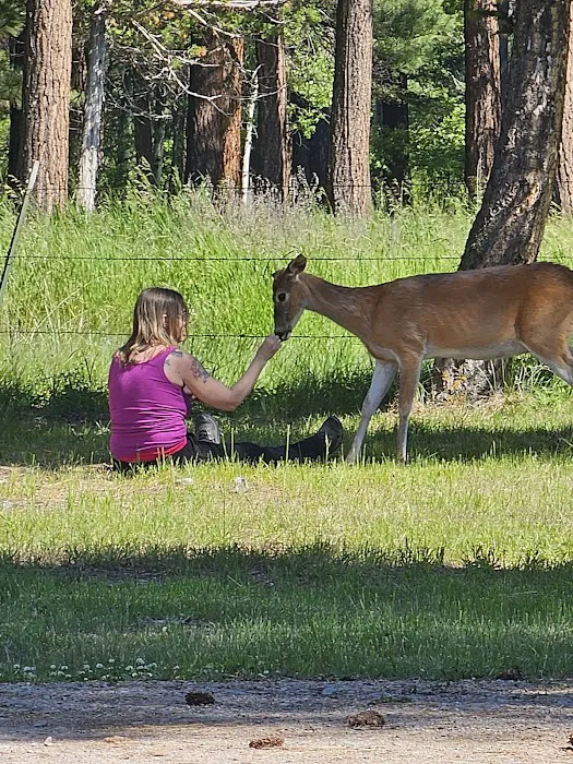 Hooper Park Campground Picture 7