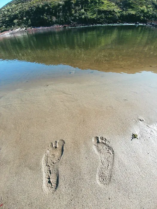 Pine Bar Put In & Campground Picture 1
