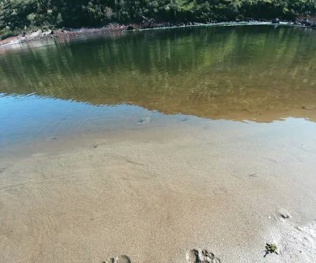 Pine Bar Put In & Campground