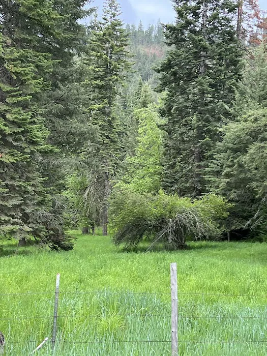 Pittsburg Campground Picture 3